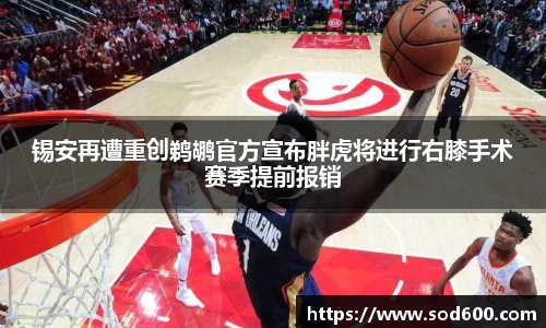 锡安再遭重创鹈鹕官方宣布胖虎将进行右膝手术赛季提前报销